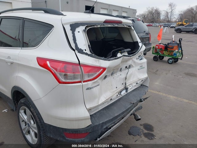 Ford ESCAPE SE 2014 1FMCU0GX5EUC07371 Image 6