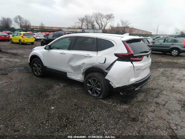 Honda Cr-v Awd Ex-l 2020 2HKRW2H86LH623111 Image 3
