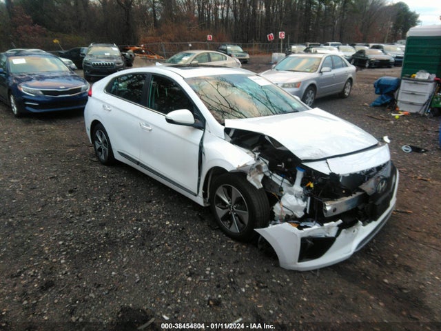 2019 HYUNDAI IONIQ ELECTRIC LIMITED VIN: KMHC05LH8KU048025