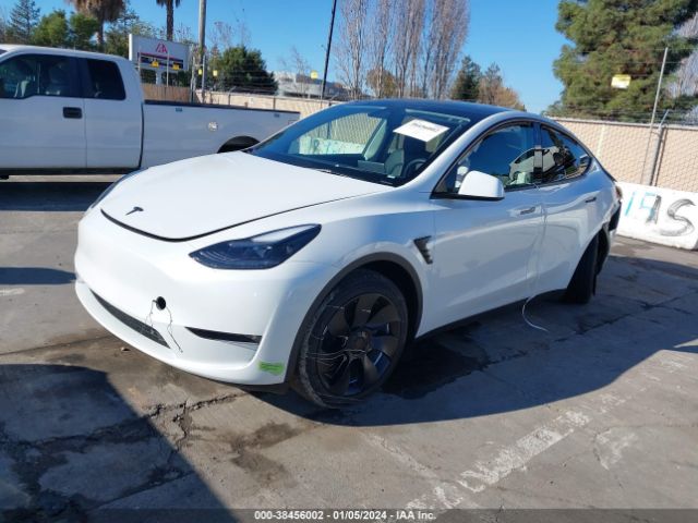 2023 TESLA MODEL Y 7SAYGAEE0PF781397 Photo 1