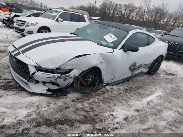 Ford Mustang Ecoboost Premium Fastback 2024 1FA6P8TH4R5110156 Image 6