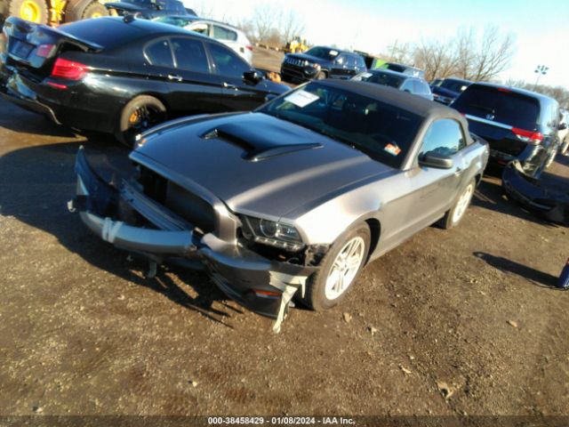 1ZVBP8EM0E5304936 Ford Mustang V6