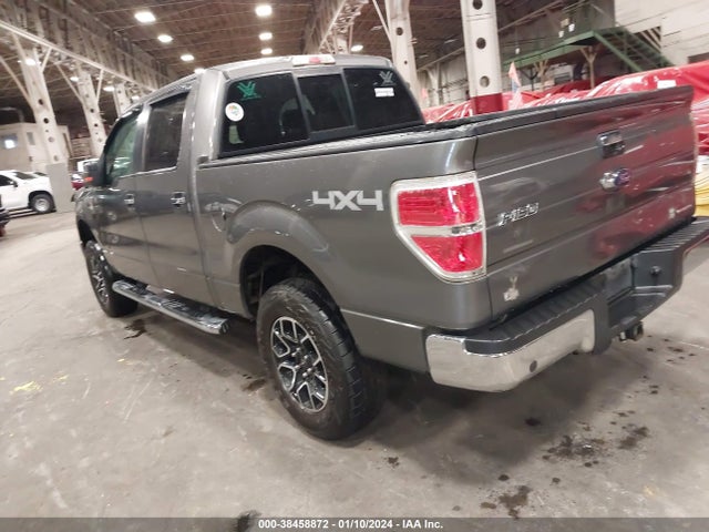 2013 FORD F-150 XLT VIN: 1FTFW1EF2DFC35577