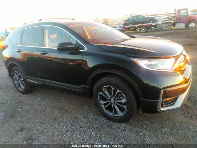 2020 5J6RW2H87LA006835 main image