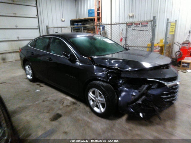 2023 CHEVROLET MALIBU FWD 1LT VIN: 1G1ZD5ST3PF203772