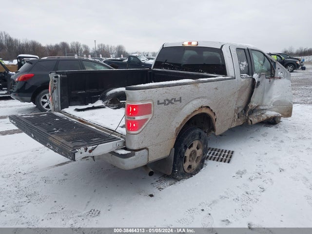 2013 FORD F-150 XLT VIN: 1FTEX1EM5DFC67401