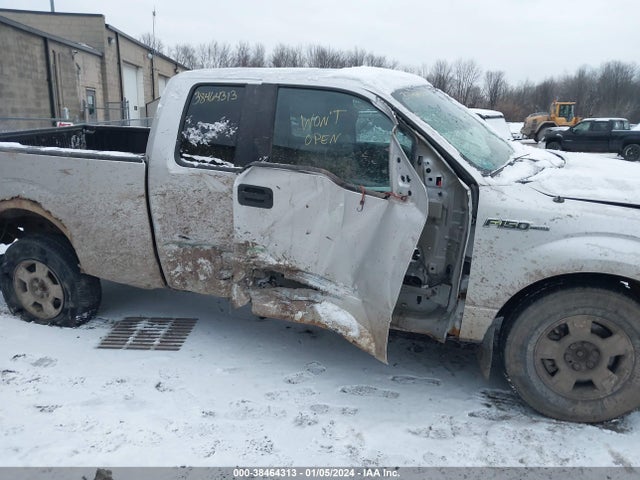 2013 FORD F-150 XLT VIN: 1FTEX1EM5DFC67401