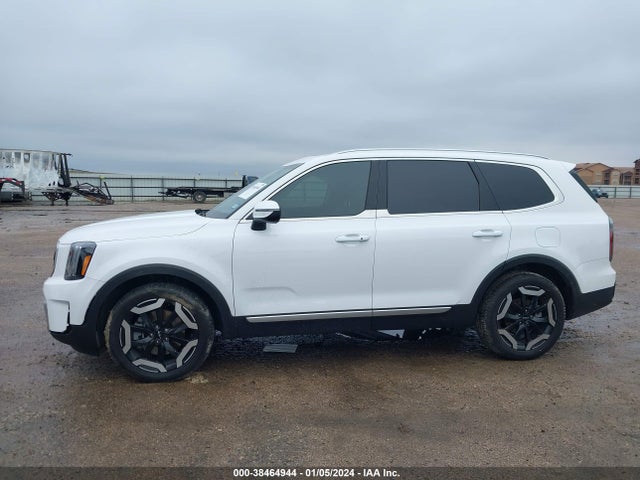 KIA Telluride Ex 2024 5XYP34GC9RG438830 Image 13