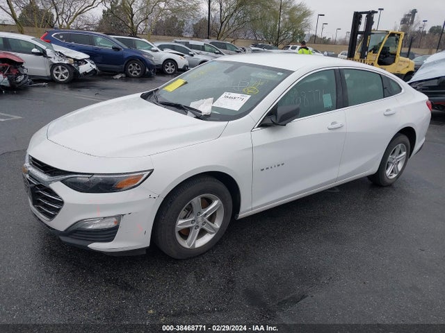 Chevrolet Malibu 1ls 2019 1G1ZB5ST4KF145072 Image 2