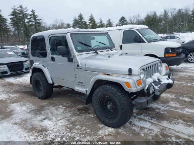 2003 JEEP WRANGLER 1J4FA49SX3P364497