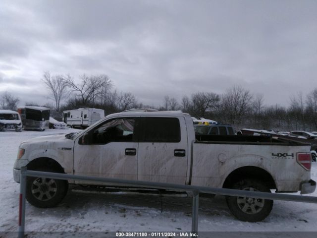 1FTFW1EF9EKF25145 Ford F-150 Xlt
