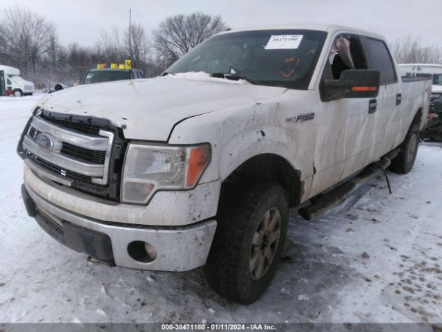 1FTFW1EF9EKF25145 Ford F-150 Xlt