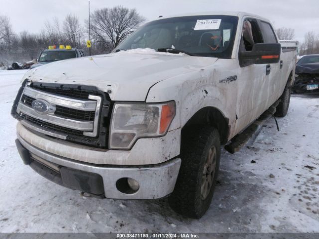 1FTFW1EF9EKF25145 Ford F-150 Xlt