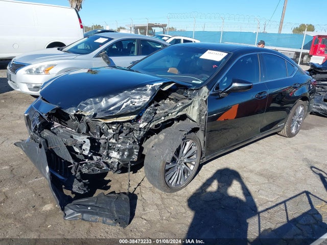 2021 LEXUS ES 300H VIN: 58ADA1C14MU011742