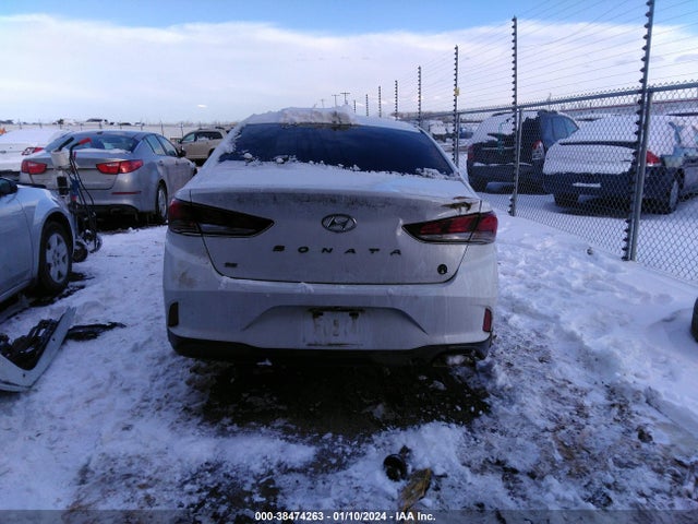 Hyundai SONATA SE 2019 5NPE24AF6KH768128 Image 16