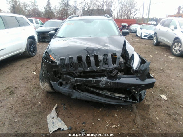 1C4PJMCB6GW203160 Jeep Cherokee Altitude