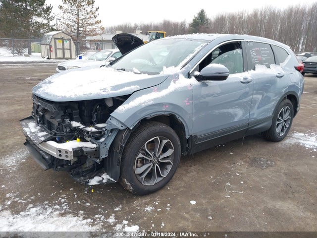 Honda Cr-v Awd Ex 2020 5J6RW2H51LL027707 Image 2