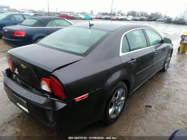 2010 CHEVROLET MALIBU LT VIN: 1G1ZC5EB6AF301255