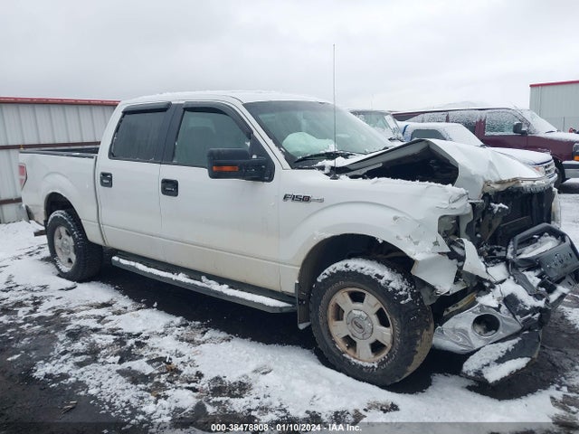 2009 FORD F-150 XLT VIN: 1FTPW14V99KC08386
