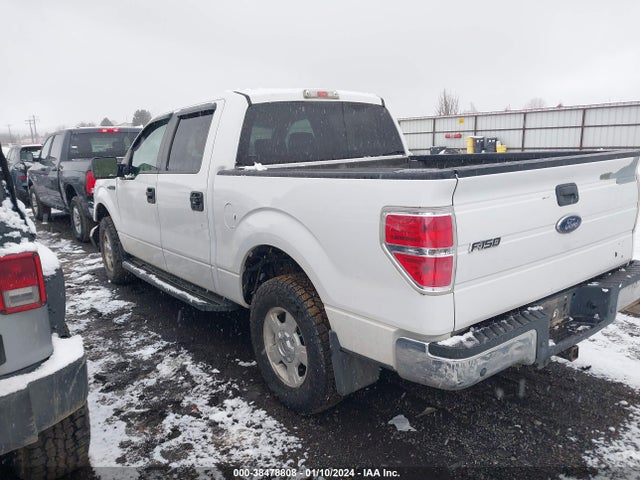 2009 FORD F-150 XLT VIN: 1FTPW14V99KC08386