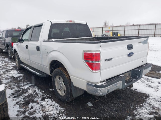 2009 FORD F-150 XLT VIN: 1FTPW14V99KC08386