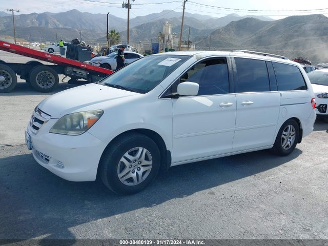 2007 HONDA ODYSSEY EX-L VIN: 5FNRL38707B121415