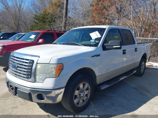 2010 FORD F-150 XL/XLT VIN: 1FTEW1C86AFA26743