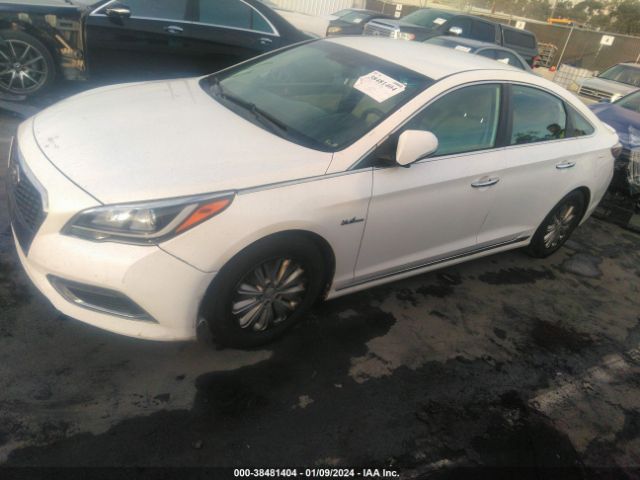 KMHE24L14GA033594 Hyundai Sonata Hybrid Se