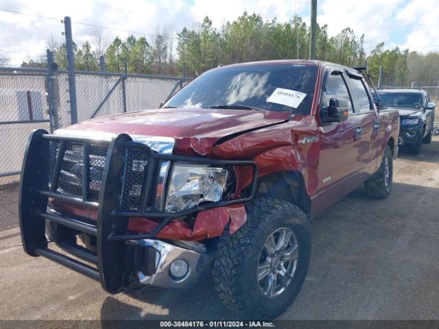 1FTFW1ETXEKD37367 Ford F-150 Xlt