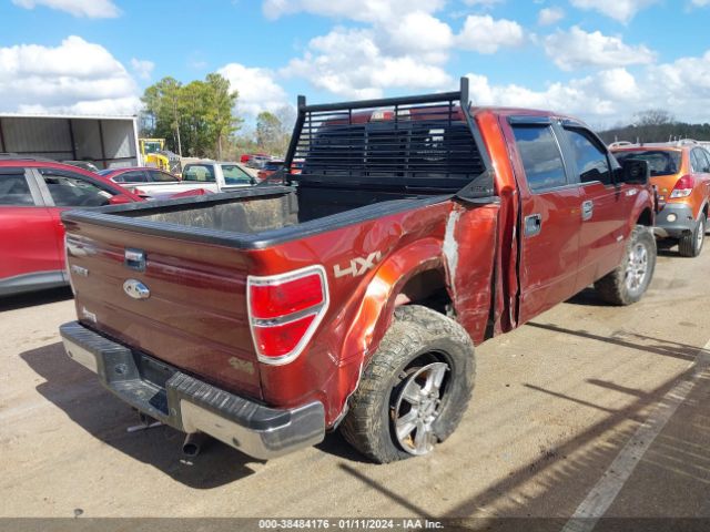 1FTFW1ETXEKD37367 Ford F-150 Xlt