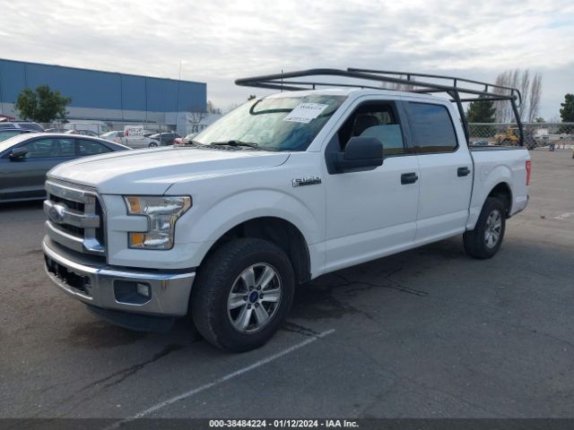1FTEW1C86FKD98579 Ford F-150 Xlt