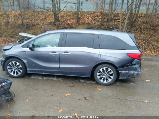2021 HONDA ODYSSEY EX-L VIN: 5FNRL6H71MB028464
