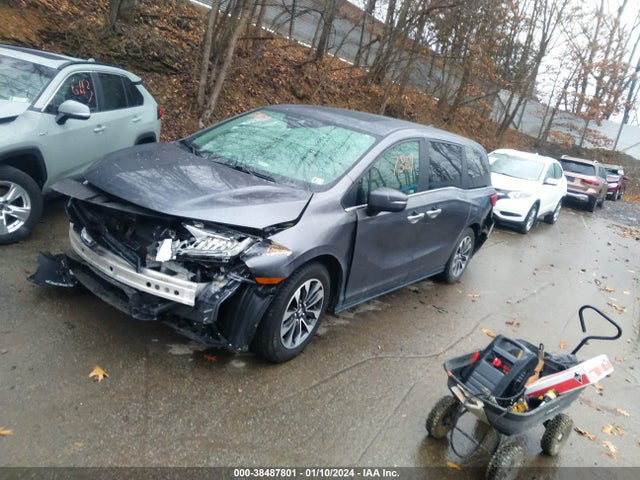2021 HONDA ODYSSEY EX-L VIN: 5FNRL6H71MB028464