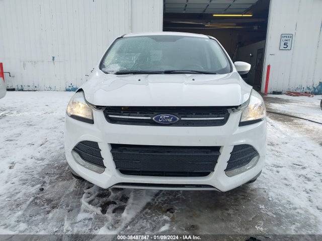 Ford ESCAPE SE 2016 1FMCU9GX7GUB26167 Image 12