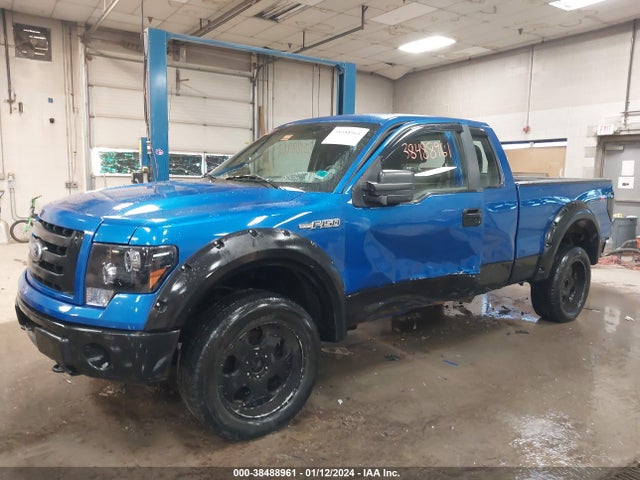 2010 FORD F-150 STX/XL/XLT VIN: 1FTEX1E89AFA18162