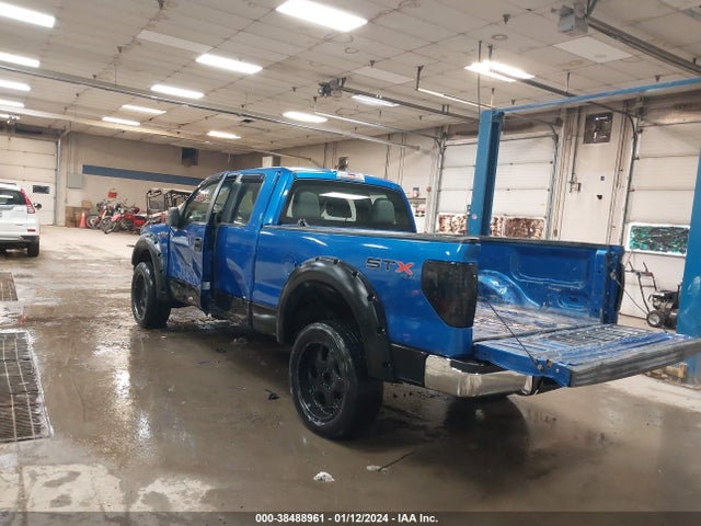 2010 FORD F-150 STX/XL/XLT VIN: 1FTEX1E89AFA18162