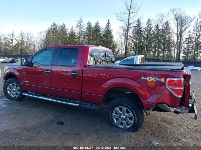 2013 FORD F-150 XLT VIN: 1FTFW1ET5DFD29734