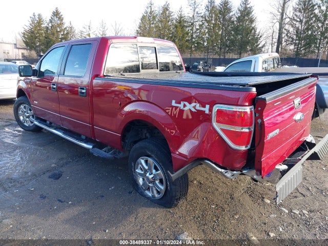 2013 FORD F-150 XLT VIN: 1FTFW1ET5DFD29734