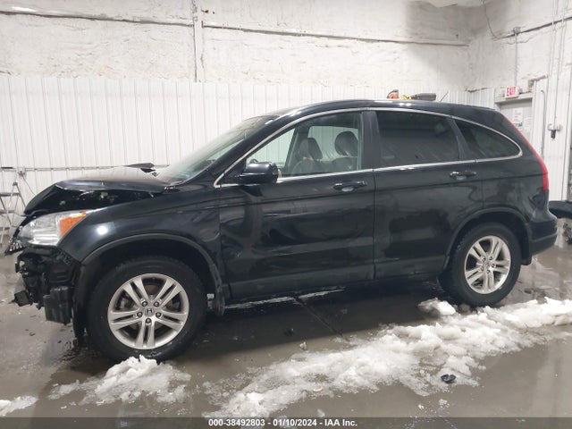 2010 HONDA CR-V EX-L VIN: 5J6RE4H74AL082424