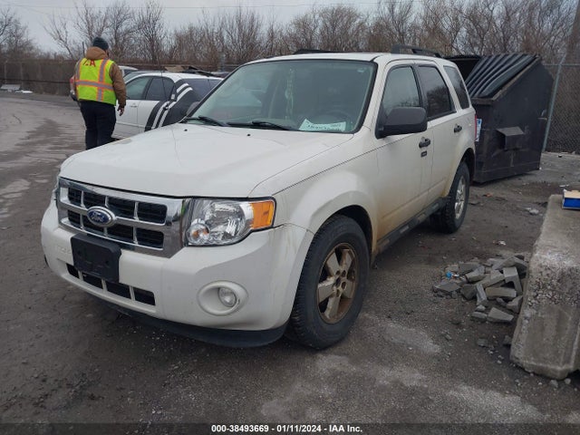 2010 FORD ESCAPE XLT VIN: 1FMCU0D76AKC67654
