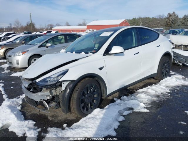 2023 TESLA MODEL Y 7SAYGDEEXPA080767 Photo 1