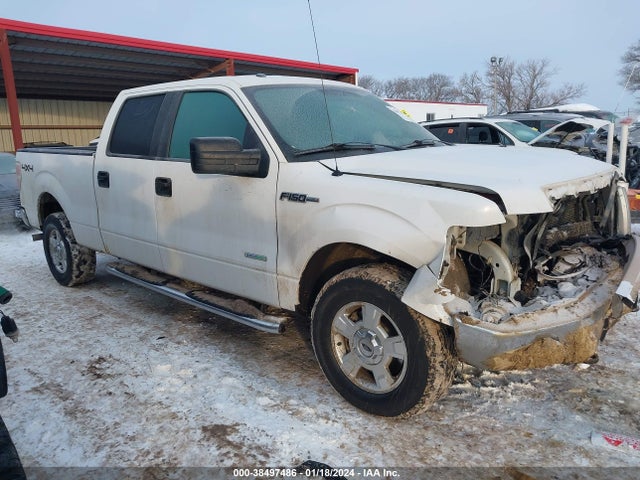2013 FORD F-150 XLT VIN: 1FTFW1ET4DFA04895