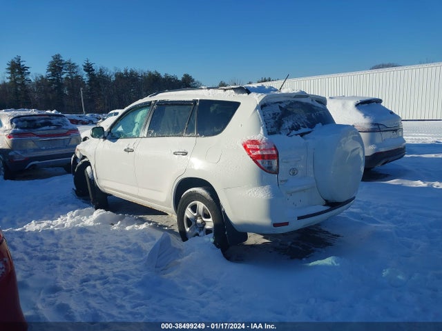 2010 TOYOTA RAV4 VIN: 2T3BF4DV2AW067670