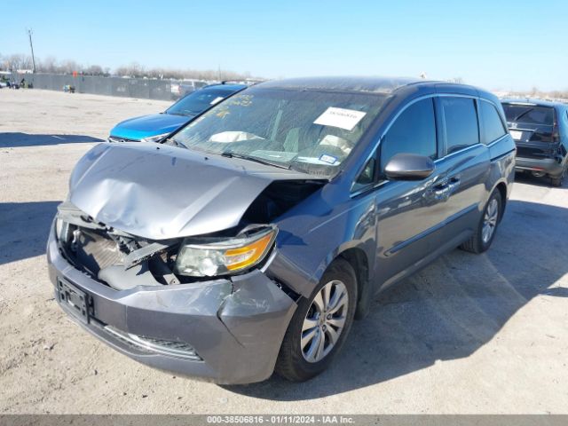 5FNRL5H31GB169207 Honda ODYSSEY SE