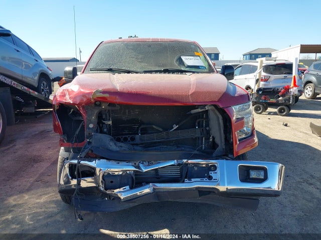 1FTEW1CP9FKF15935 Ford F-150 Xlt