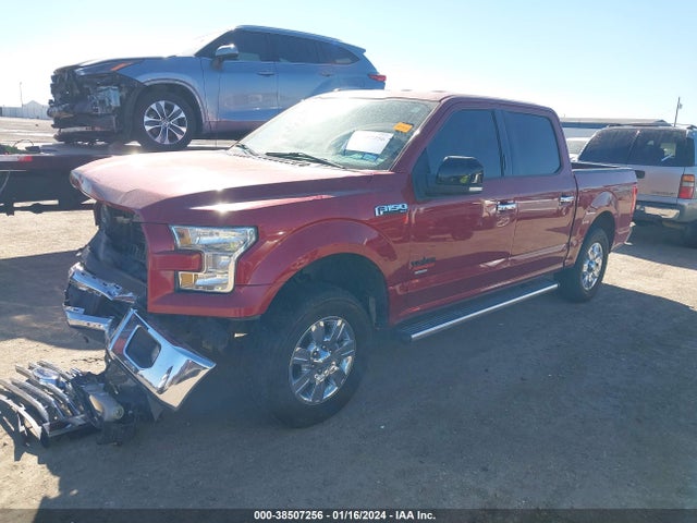 1FTEW1CP9FKF15935 Ford F-150 Xlt