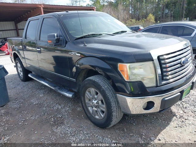 2010 FORD F-150 XL/XLT VIN: 1FTEW1C80AFB66724