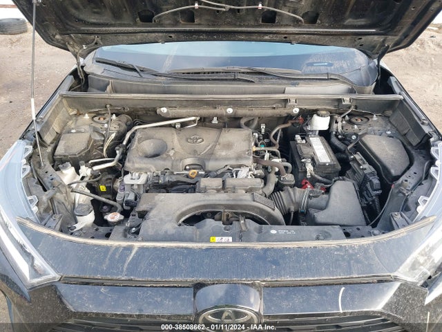 2019 TOYOTA RAV4 XLE VIN: 2T3W1RFVXKC026863