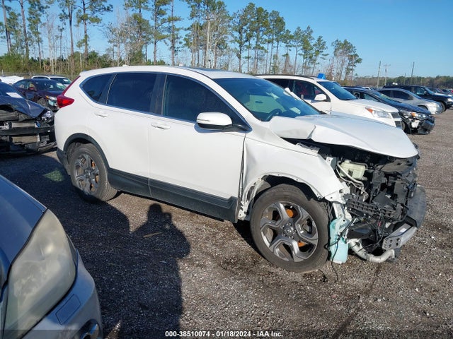 2019 5J6RW1H51KA007719 main image