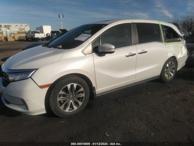 5FNRL6H62NB504519 Honda Odyssey